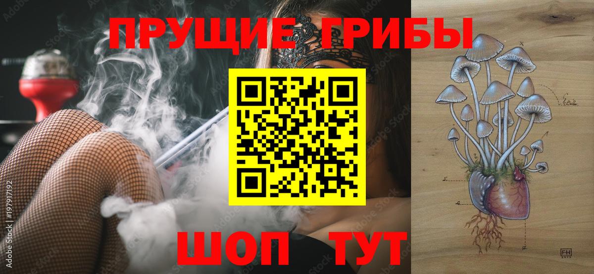 Галлюциногенные грибы Magic Shrooms  Вход с VPN  Владимир 