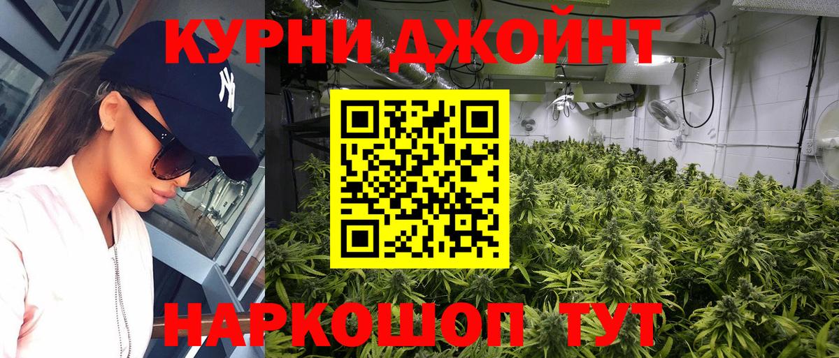 Каннабис VHQ  Каннабис Ganja  Владимир  Вход с VPN  Канабис планчик  Каннабис ГИДРОПОН 